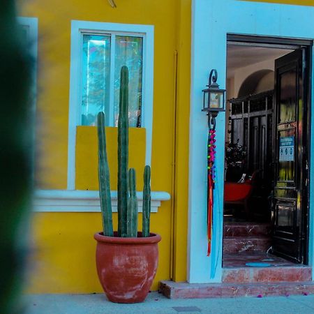 El Encanto Inn & Suites San José del Cabo Екстериор снимка