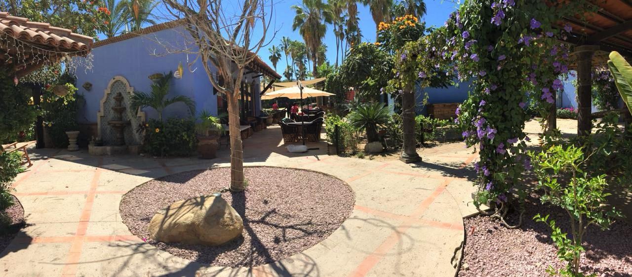 El Encanto Inn & Suites San José del Cabo Екстериор снимка